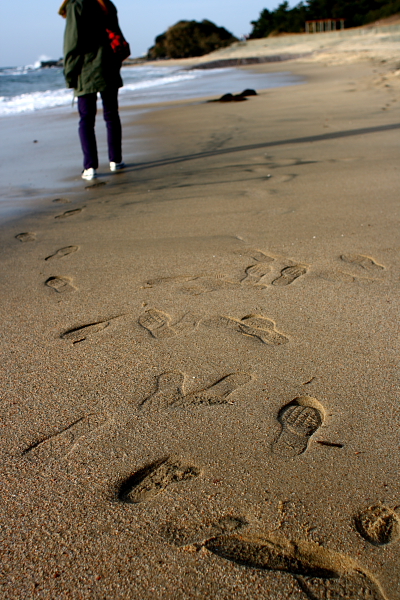 blog++Simple life++