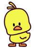 ひよこ
