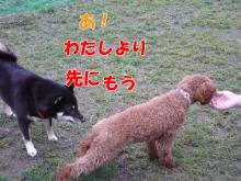 私先よ