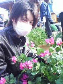 木の暮らし　ｂｌｏｇ　-081204_1129~0001.jpg