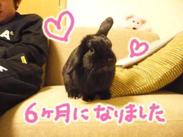 おれおにっき☆