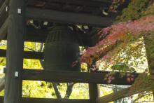 AA