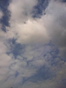 080602_1536~01.JPG