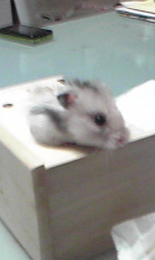 まぁ聞いたって～♪-Image013.jpg