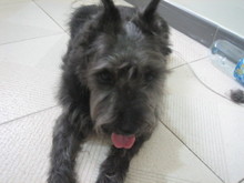benben