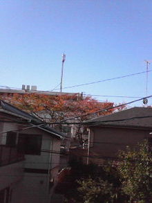 200811130924000.jpg