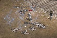 ����WIN