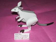 オオカンガルー