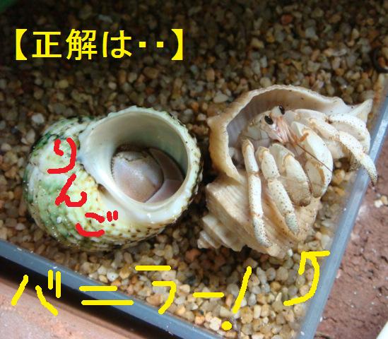 ひぇーーっ！