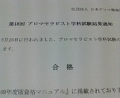 20080627120223.jpg