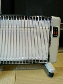 P1000353.jpg
