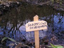 札