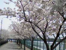 端ヶ池