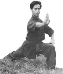 YuanWenQing