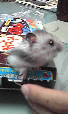 まぁ聞いたって～♪-Image014.jpg