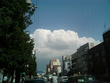 CA321162.JPG
