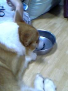 20060511