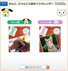 「“α”体験ブログパーツ」