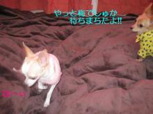 とっても美味しい生活-交代