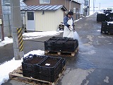 （有）西脇農園ニュース