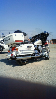 200804060946000.jpg