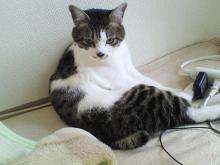 みんなお