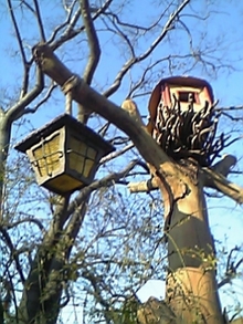 080205_152325_M.jpg
