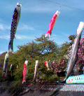 060422_144109.jpg