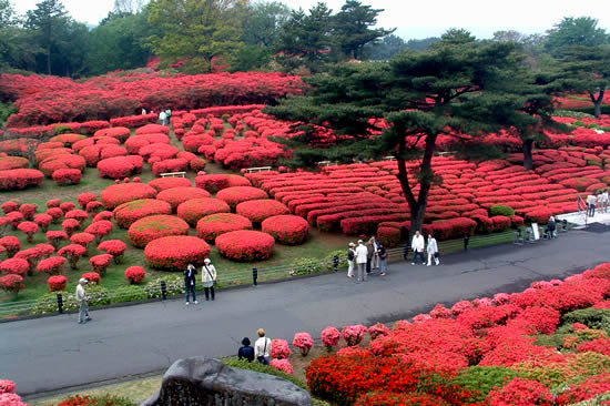 小室山公園-1-