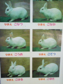 200806171337000.jpg