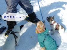 おやつタイムは３匹仲良く