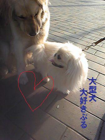 ぺちゃっとなっ♪