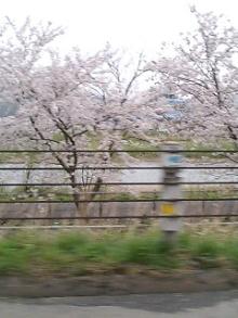 日本海へ１