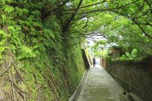 緑陰