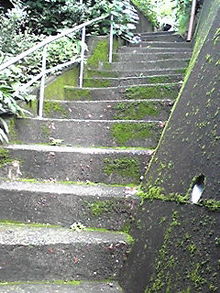 080621_0845~01.JPG