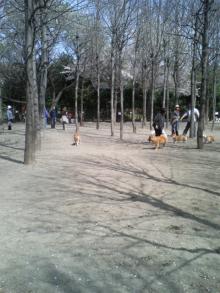 園内１