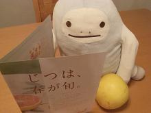 きしね2