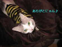 とっても美味しい生活-鬼太郎