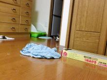 じー