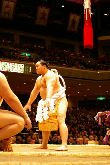sumo6