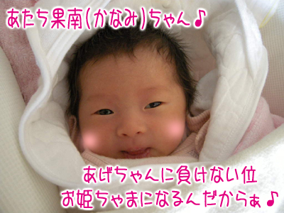 Shinoとあげはと龍之介 -ほんわかチワワン日記-