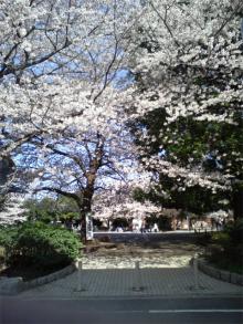 公園4