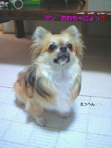 200806271717000.jpg