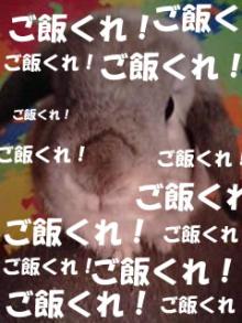 高卒の星になれ!! ~株式会社レバレッジで人生の逆転を狙う!高卒男が成功するまで!~