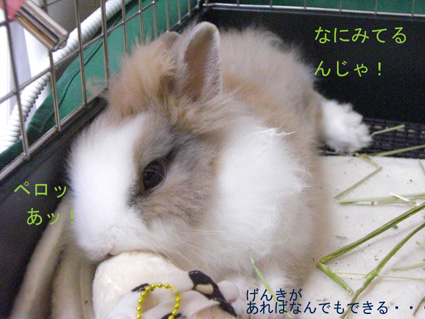 PUNKUNのきもち