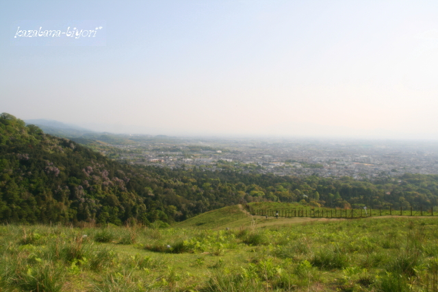 若草山