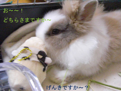 PUNKUNのきもち