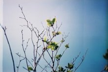 040430seagull006.jpg