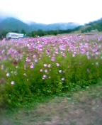 060828_154948.jpg