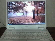 P1000010.jpg